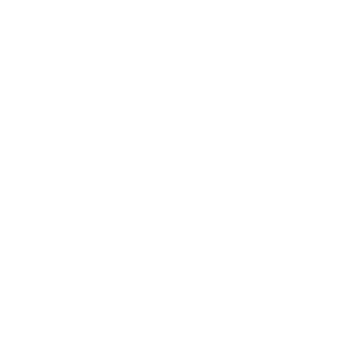 Setup WordPress