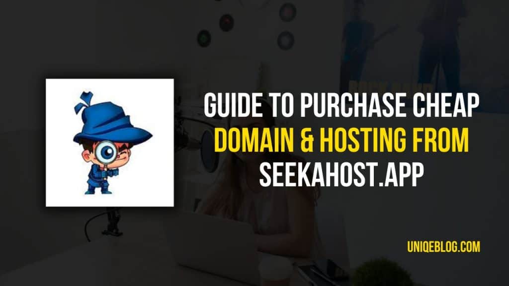 How to use SeekaHost.app to buy domain names and WordPress hosting 